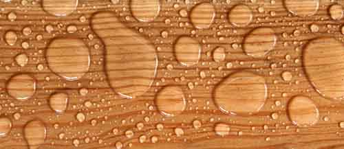 Water on Wood Floor