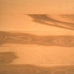 American Beech Flooring Species